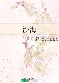 沙海