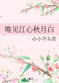 《唯见江心秋月白》