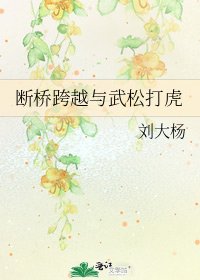 断桥跨越与武松打虎