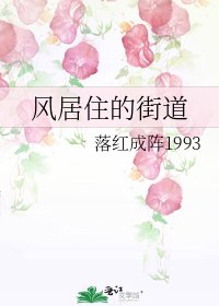 《风居住的街道》