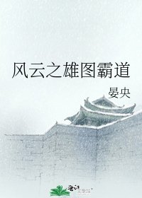 《风云之雄图霸道》