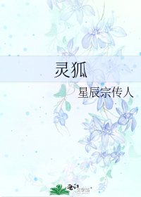 《灵狐》