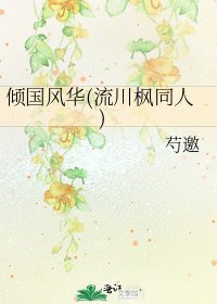 《倾国风华(流川枫同人)》