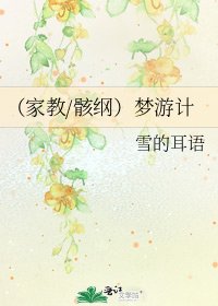 （家教/骸纲）梦游计