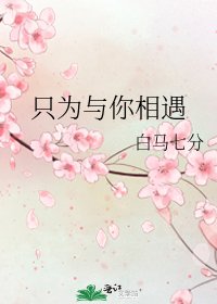 《只为与你相遇》