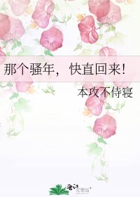 《那个骚年,快直回来!》