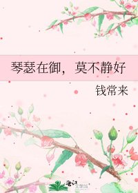 《琴瑟在御,莫不静好》
