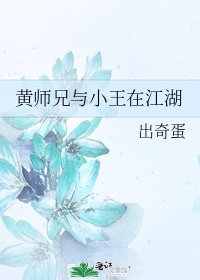 黄师兄与小王在江湖