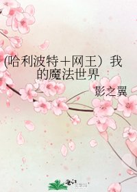 《(哈利波特+网王)我的魔法世界》