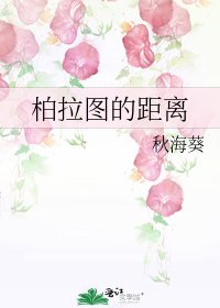 《柏拉图的距离》