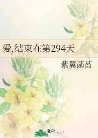 《爱,结束在第294天》