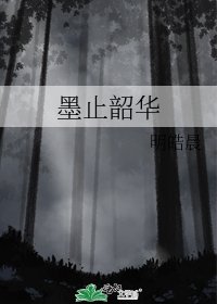 墨止韶华