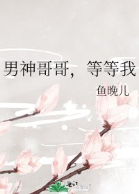 《男神哥哥,等等我》