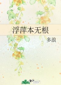 《浮萍本无根》