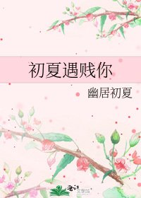 《初夏遇贱你》