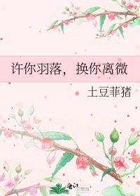 《许你羽落,换你离微》