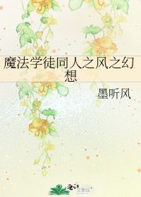 《魔法学徒同人之风之幻想》