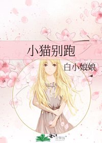 《小猫别跑》