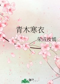 《青木寒衣》