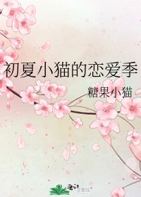 《初夏小猫的恋爱季》