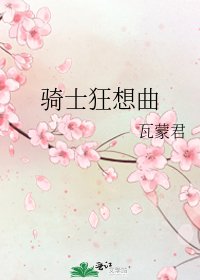 《骑士狂想曲》