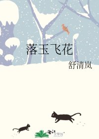 《落玉飞花》