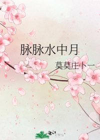 《脉脉水中月》