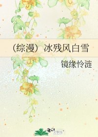 （综漫）冰残风白雪
