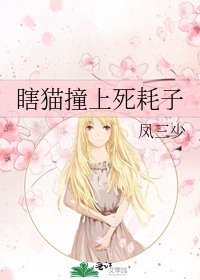 《瞎猫撞上死耗子》