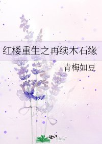 红楼重生之再续木石缘