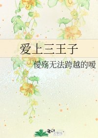 《爱上三王子》