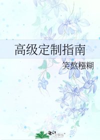 《高级定制指南》
