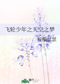 《飞轮少年之天空之梦》