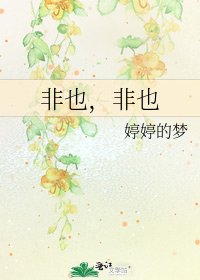 非也，非也