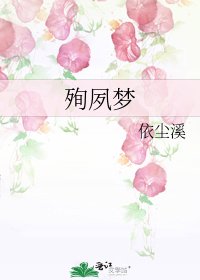 《殉夙梦》