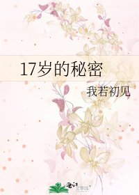 《17岁的秘密》