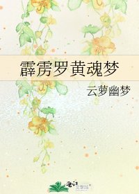 《霹雳罗黄魂梦》