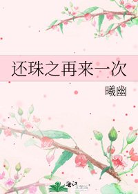 《还珠之再来一次》