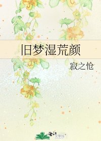 《旧梦湿荒颜》