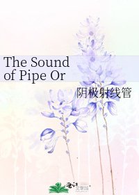 《The Sound of Pipe Organ》