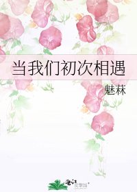《当我们初次相遇》