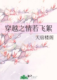 《穿越之情若飞絮》