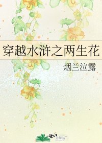 穿越水浒之两生花