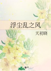 《浮尘乱之风》