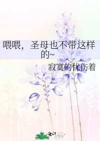 《喂喂,圣母也不带这样的~》