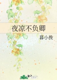 《夜凉不负卿》