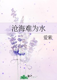 《沧海难为水》