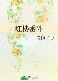《红楼番外》