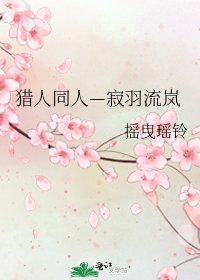 《猎人同人—寂羽流岚》