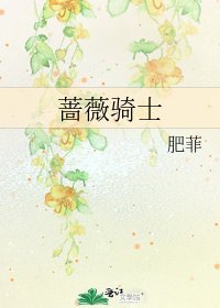 《蔷薇骑士》